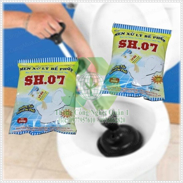 Mua cây thông bồn cầu ở đâu