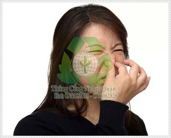 H&uacute;t bể phốt tại huyện Chương Mỹ