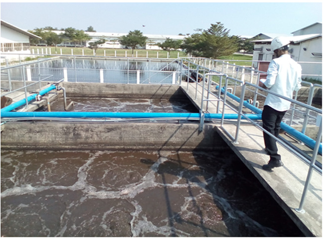C&ocirc;ng ty cung cấp b&ugrave;n vi sinh huyện Cần Giờ l&agrave;m việc uy t&iacute;n