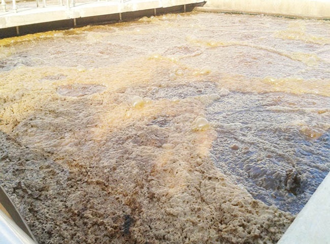 Cung cấp vận chuyển b&ugrave;n vi sinh S&oacute;c Trăng c&oacute; gi&aacute; rẻ bất ngờ v&agrave; ưu đ&atilde;i